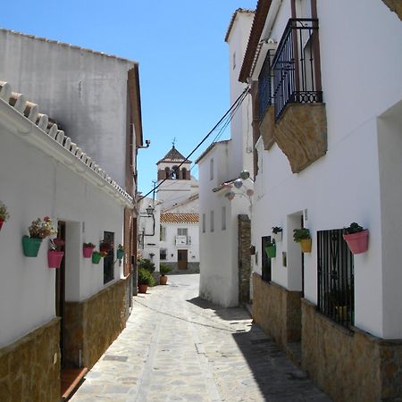 Willa Moclinejo House Malaga Zewnętrze zdjęcie