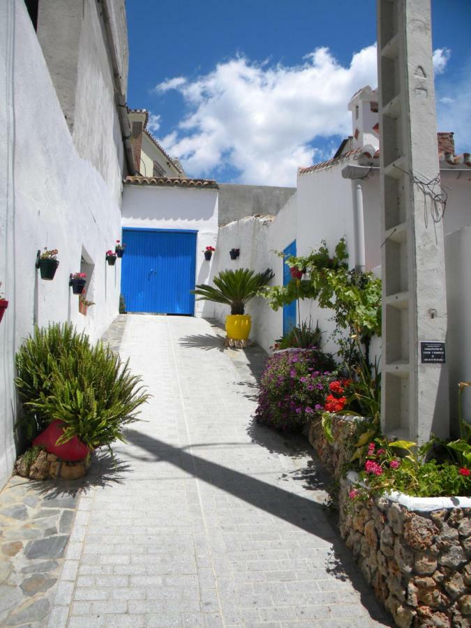 Willa Moclinejo House Malaga Zewnętrze zdjęcie