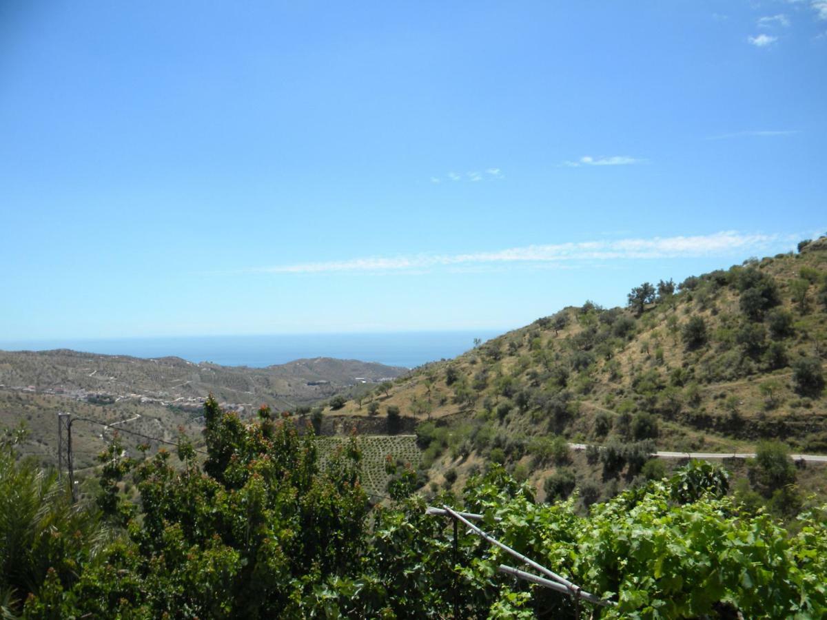 Willa Moclinejo House Malaga Zewnętrze zdjęcie